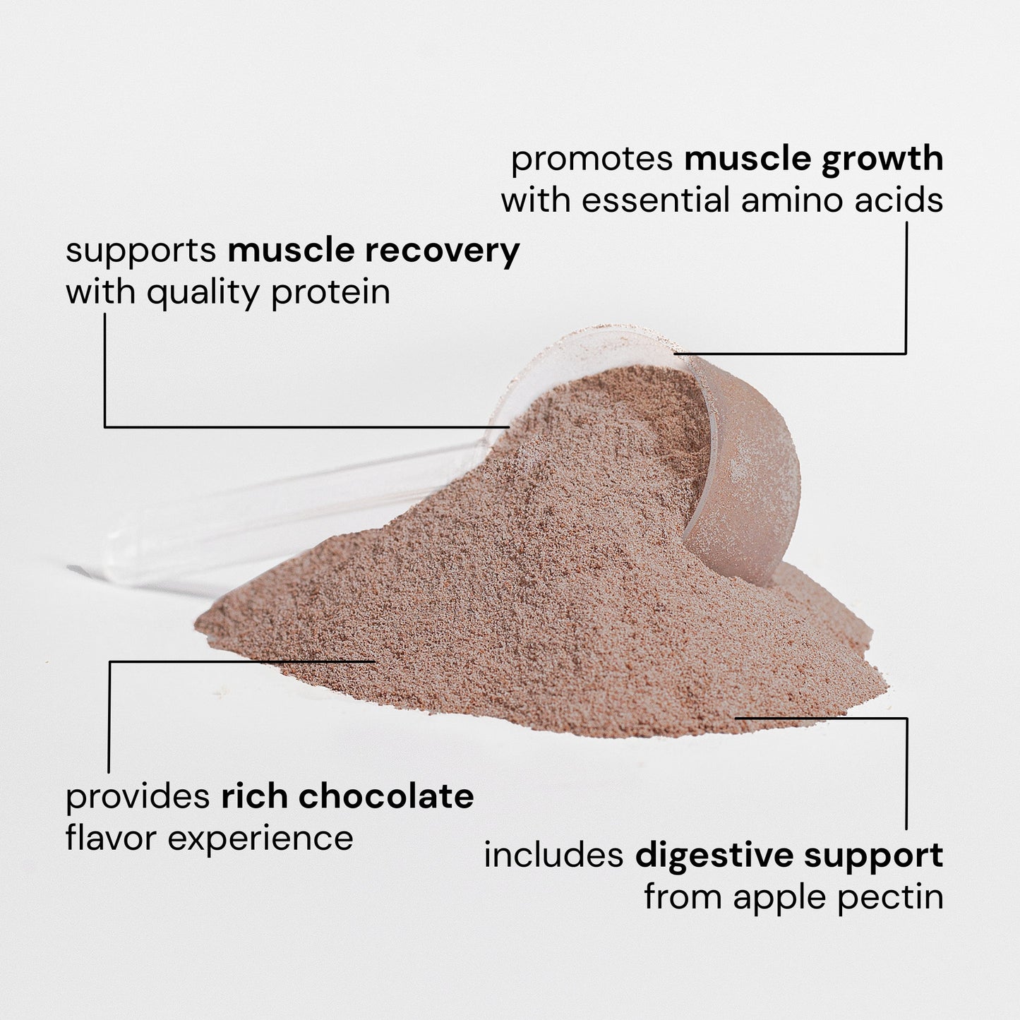 Elevate Whey Isolate (Chocolate)