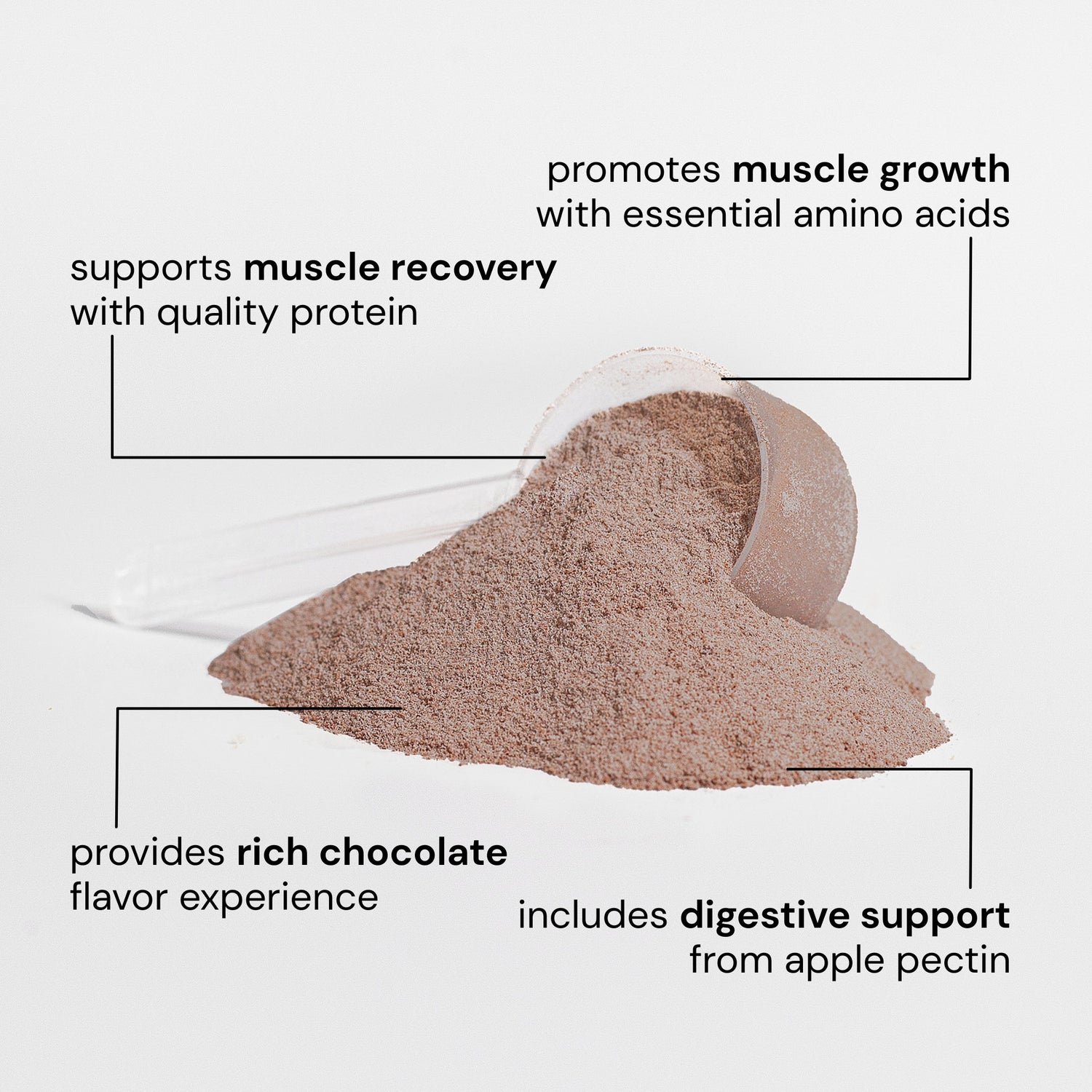 Elevate Whey Isolate (Chocolate)