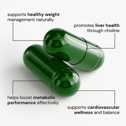 Ignite Nutrition