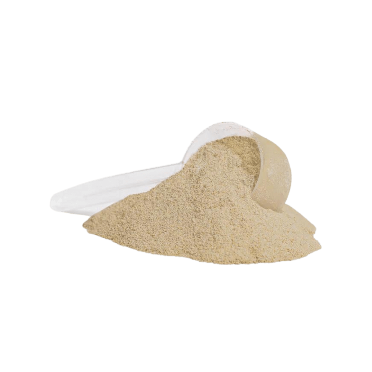 Elevate Whey Isolate (Vanilla)